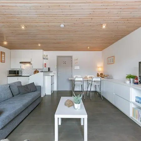 Huswell - Near The Beach With Terrace Ostend